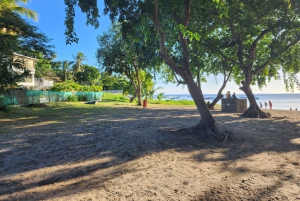 Ile Aux Benitiers: tour privato alla Roccia di Cristallo e pranzo sull'isola