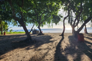 Ile Aux Benitiers: tour privato alla Roccia di Cristallo e pranzo sull'isola