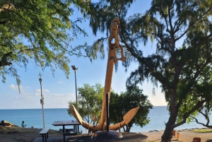 Ile Aux Benitiers: tour privato alla Roccia di Cristallo e pranzo sull'isola