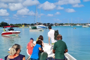 Ilot Gabriel: Catamaran Cruise with Snorkeling & BBQ Lunch