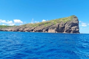 Ilot Gabriel: Katamarankryssning och BBQ-lunch