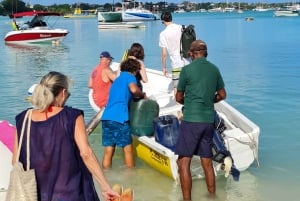 Ilot Gabriel: Katamarankryssning och BBQ-lunch