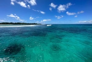 Ilot Gabriel: Katamarankryssning och BBQ-lunch