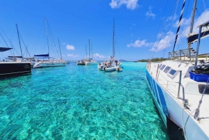 Ilot Gabriel: Catamaran Cruise with Snorkeling & BBQ Lunch