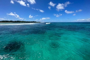 Ilot Gabriel: Catamaran Cruise with Snorkeling & BBQ Lunch