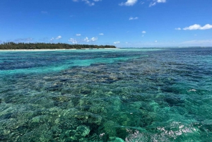 Ilot Gabriel: Catamaran Cruise with Snorkeling & BBQ Lunch