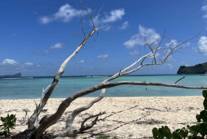 Ilot Gabriel: Catamaran Cruise with Snorkeling & BBQ Lunch