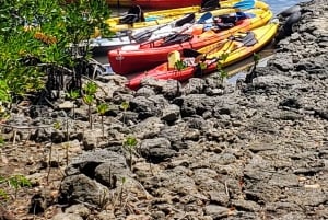 Ile d Ambre Kajakarstwo