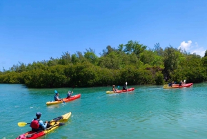 Ile d Ambre Kajakarstwo