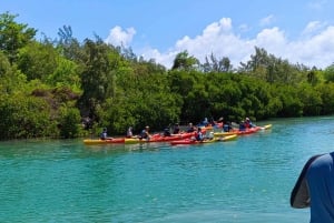 Ile d Ambre Kajakarstwo