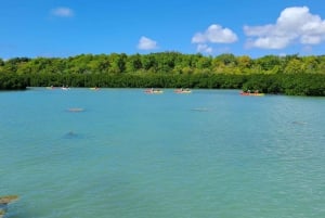 Ile d Ambre Kajakarstwo