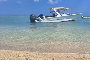 La Preneuse: Speedbådstur med delfinobservation og snorkling