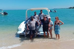 La Preneuse: Speedbådstur med delfinobservation og snorkling