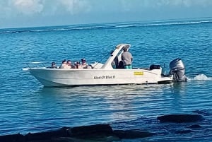 La Preneuse: Speedbådstur med delfinobservation og snorkling