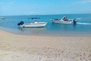 La Preneuse: Speedbådstur med delfinobservation og snorkling