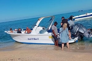 La Preneuse: Speedbådstur med delfinobservation og snorkling