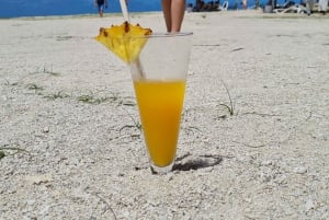 La Preneuse: Pływanie z delfinami i snorkeling - wycieczka łodzią motorową