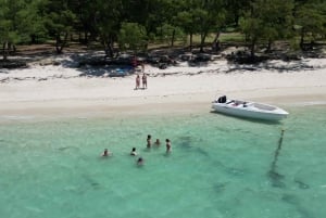 La Preneuse: Pływanie z delfinami i snorkeling - wycieczka łodzią motorową