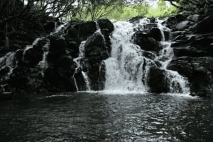 La Vallee des Couleur Natuurpark Dagvullende Tour