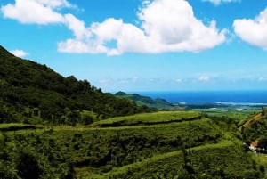 La Vallee des Couleur Nature Park Full Day Tour