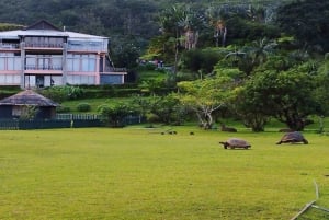 La Vallee des Couleur Nature Park Full Day Tour