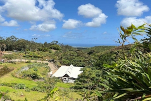 La Vallee des Couleur Nature Park Full Day Tour