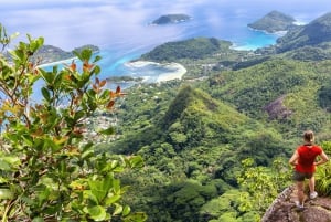 Le Morne Brabant - Eco randonnée guidée et transferts