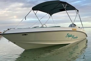 LE MORNE DELFINER SOLUPPGÅNGSTUR