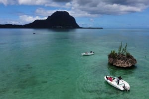 LE MORNE DELFINER SOLUPPGÅNGSTUR