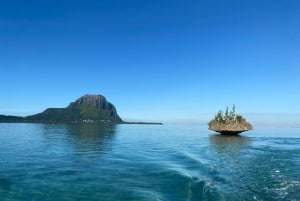 LE MORNE DOLPHINS SUNRISE TRIP