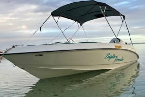 LE MORNE DOLPHINS SUNRISE TRIP