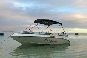 LE MORNE DOLPHINS SUNRISE TRIP