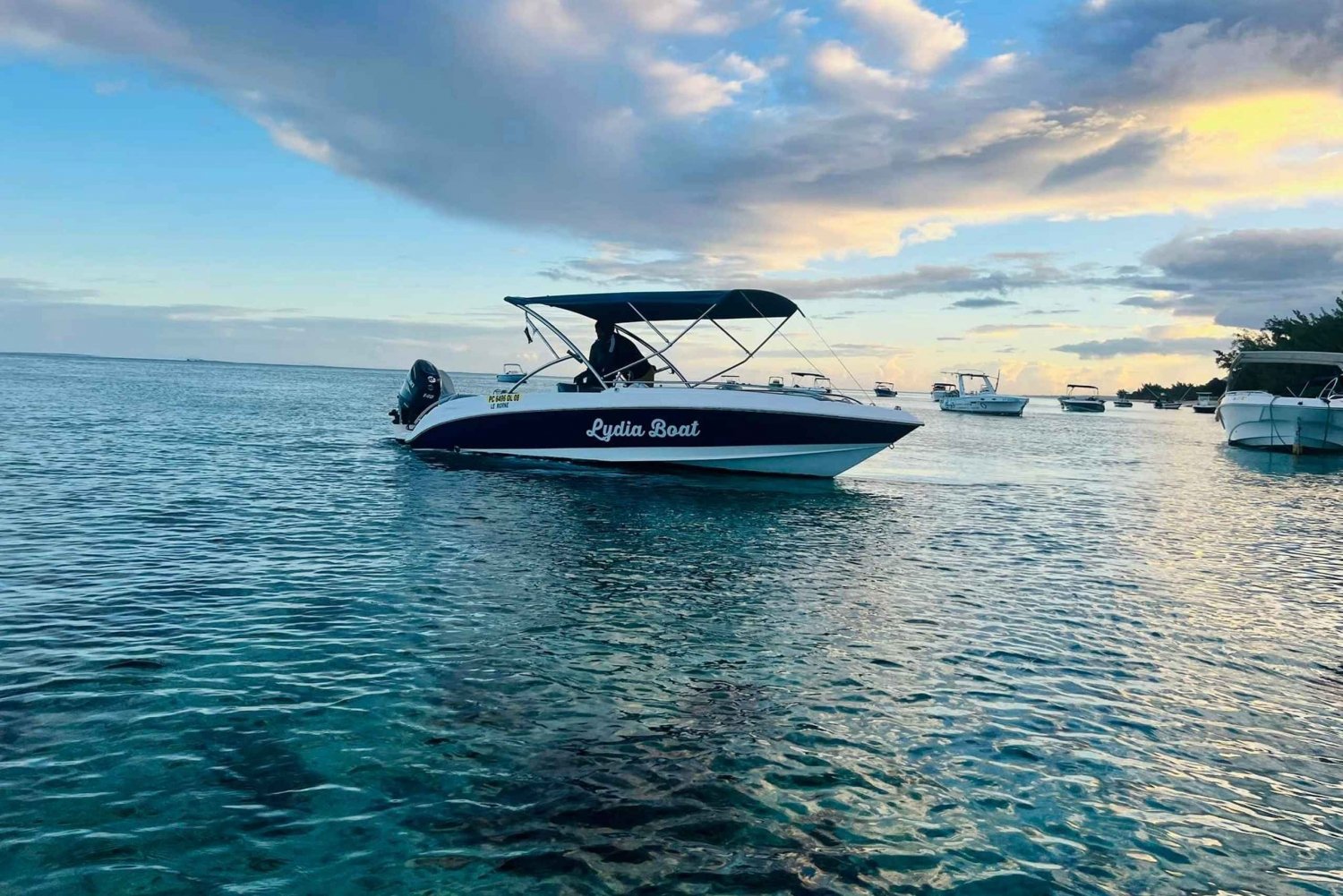 Le morne: Dolphin Encounter Private Bootstour / Schnorcheln