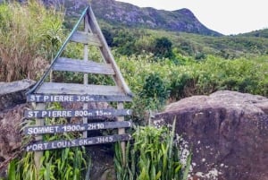 Le Pouce Mountain Hike adventure with Lunch & Transfer