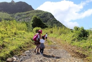 Le Pouce Mountain Hike adventure with Lunch & Transfer