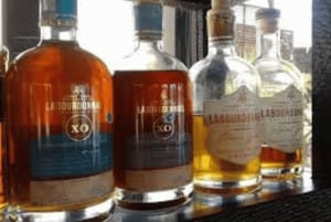 Marché local, jardin botanique, dégustation de rhum et déjeuner authentique