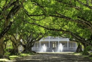 Marché local, jardin botanique, dégustation de rhum et déjeuner authentique