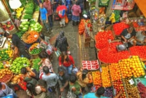 Marché local, jardin botanique, dégustation de rhum et déjeuner authentique