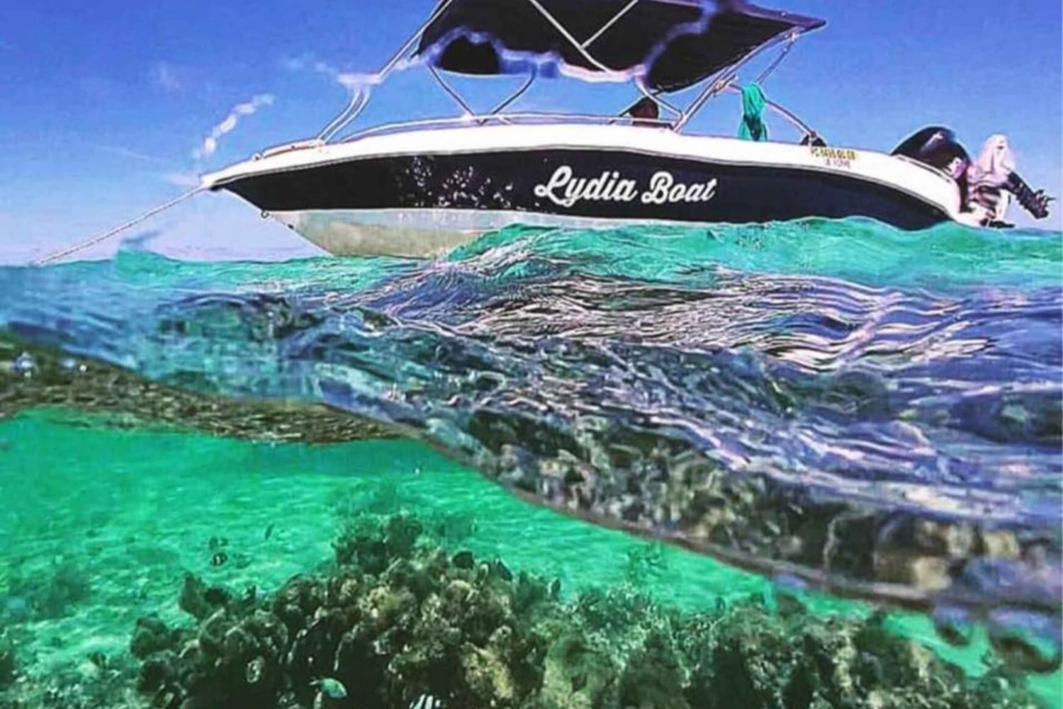 Lydia Boat : Le morne: Eco Friendly Whales and Dolphins Tour