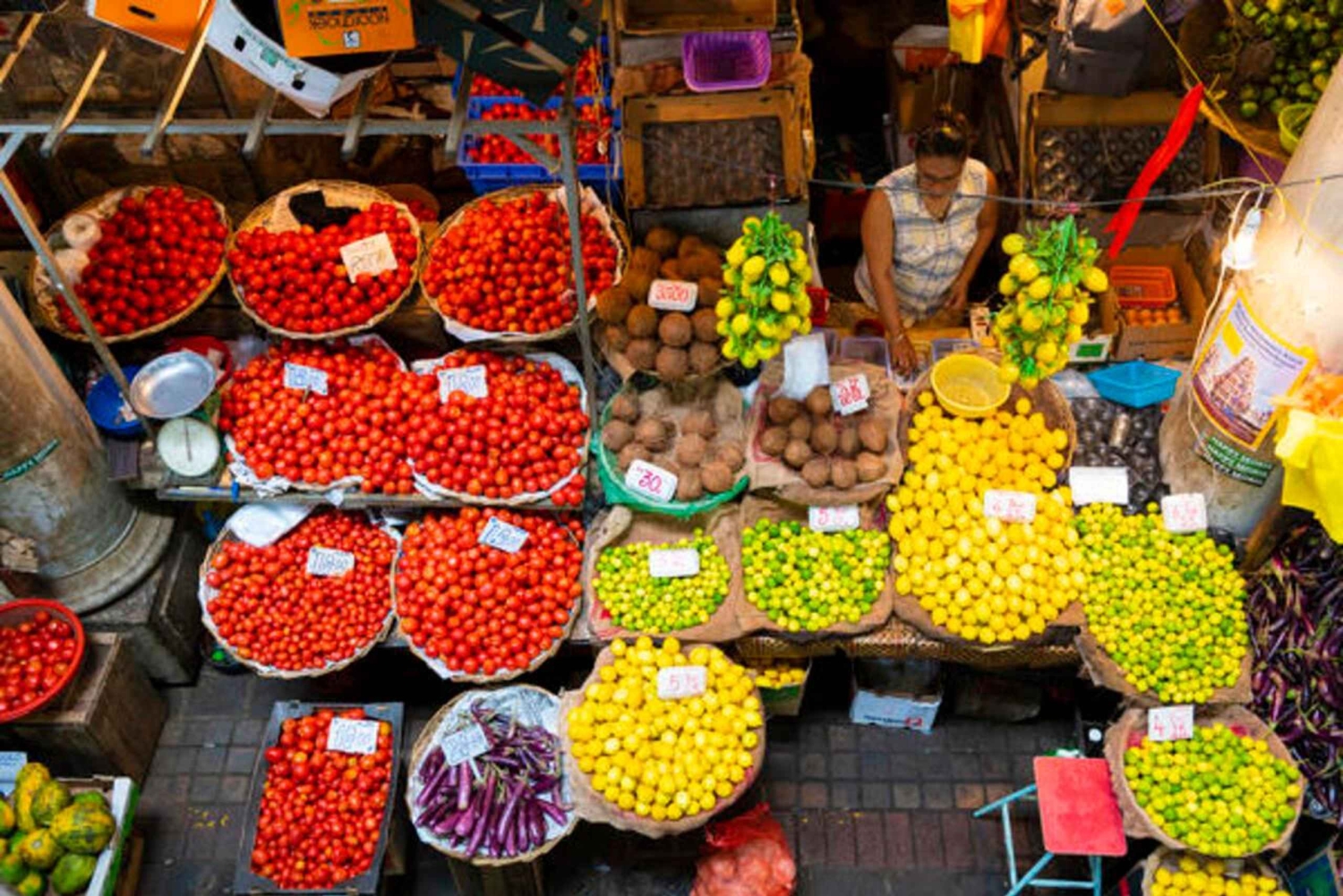 Mauritius: 2-daagse ontdekkingstocht naar het noorden en het eiland Benitier