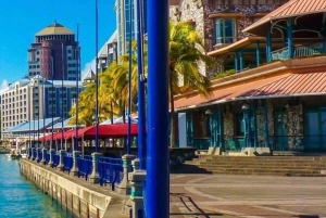 Mauritius: 2-daagse ontdekkingstocht naar het noorden en het eiland Benitier