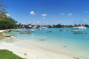 Mauritius: 2-daagse ontdekkingstocht naar het noorden en het eiland Benitier