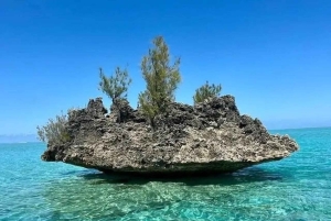 Mauritius: 2-daagse ontdekkingstocht naar het noorden en het eiland Benitier