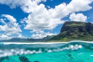 Mauritius: 2-daagse ontdekkingstocht naar het noorden en het eiland Benitier