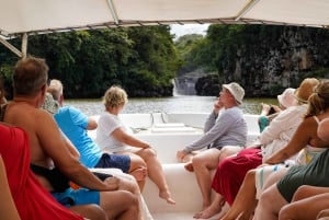 Mauritius: 3 aktiviteter + båttur til Ile aux Cerfs m/grill