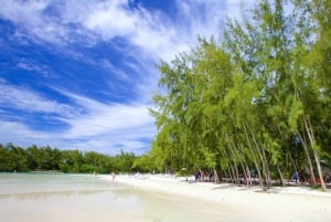 Mauritius: 3 aktiviteter + båttur til Ile aux Cerfs m/grill