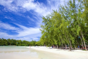 Mauritius: 3 aktiviteettia + Ile aux Cerfs -veneajelu ja grillaus (BBQ)