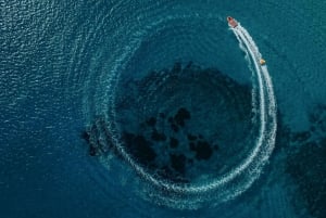 Mauritius: 3 aktiviteettia + Ile aux Cerfs -veneajelu ja grillaus (BBQ)