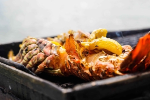 Mauritius: 3 aktiviteettia + Ile aux Cerfs -veneajelu ja grillaus (BBQ)