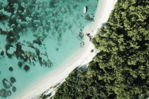 3 päivää: Chamarel, delfiiniretki, viisi saarta, kaupunkikierros